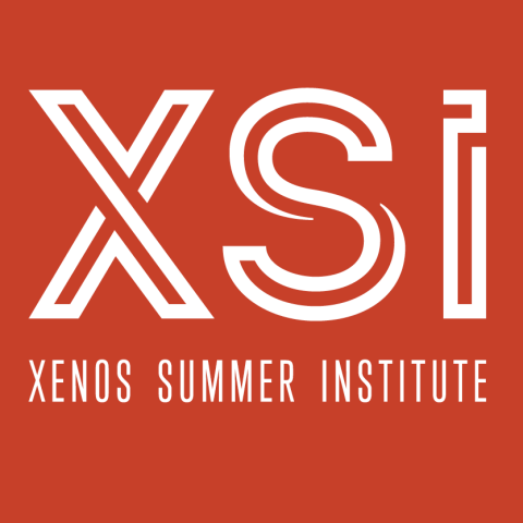 XSI logo