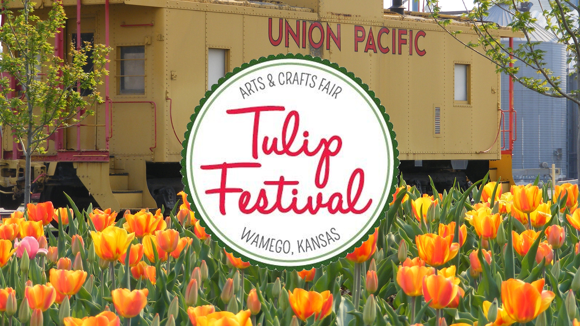 Wamego Tulip Festival