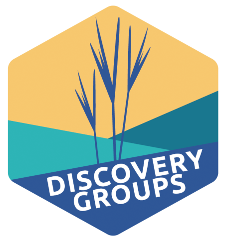 Discovery Groups logo