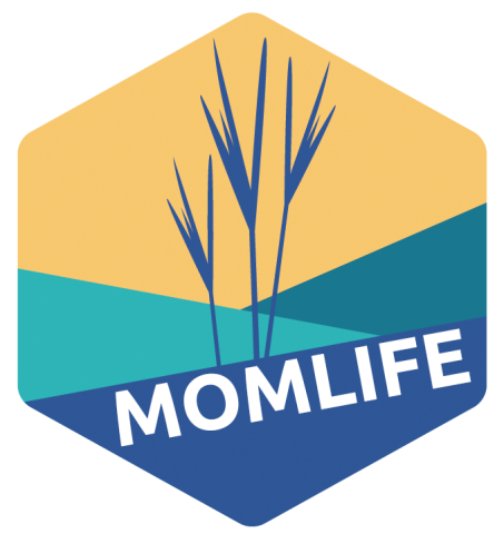 MomLIFE logo