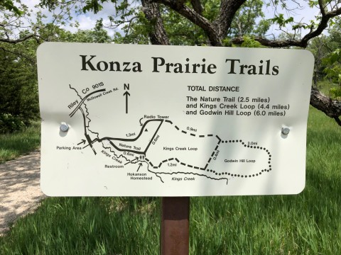 Tallgrass Konza Hike