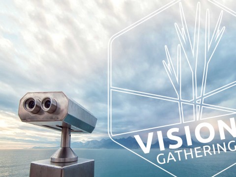 Vision Gathering