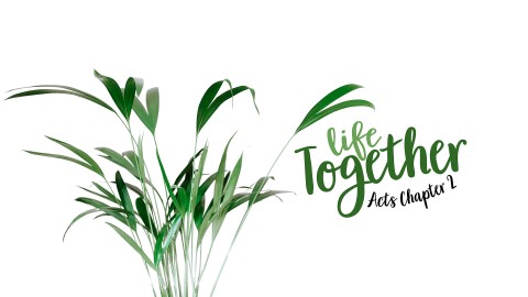 Life Together Logo